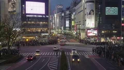 Crowd at Shibuya Crossing Video stock 76964241