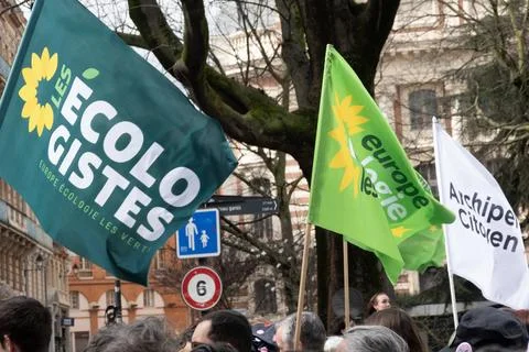 A crowd shows support with Ecologistes flags in the street Stock-Fotos
