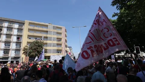 Crowd with signs and flags preparing for the parade during the celebrations of 스톡 동영상 334166112