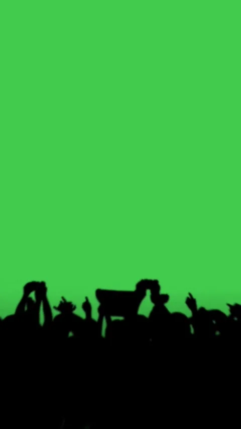 Crowd Silhouette Cheering Green Screen Vertical Stock-Footage 344765858