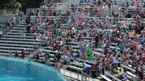 Crowd stadium seats fast motion timelapse HD Video stock 27899575