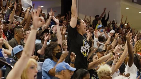 Crowd Standing and Cheering 動画素材 223567395