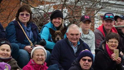 Crowd in the stands watching the dog show Kelpie Dash. Stock Footage 87703274
