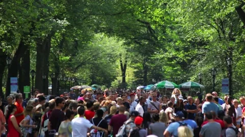 Crowd Strolling In Central Park HD Stock Footage 67360609