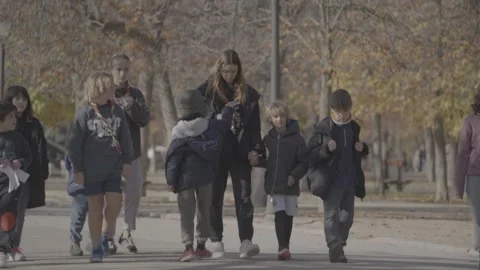 A crowd taking a walk in a park in Madrid, Spain Stock Footage 345030723