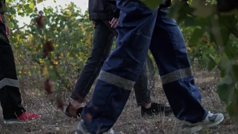 Crowd of tourists' feet walking between the vines. Wine tourism Stock Footage 270063533