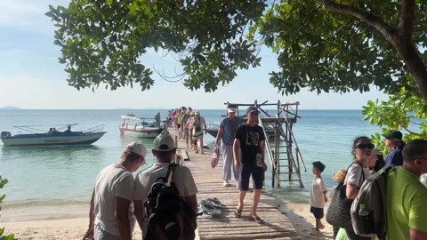 Crowd of Tourists Walking on a Rustic Wooden Pier Jetty Toward a Tropical Vidéo 336090673