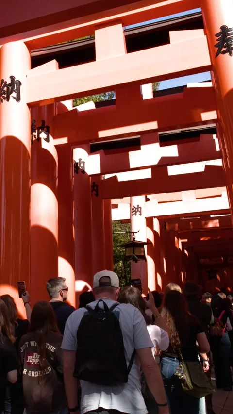 Crowd of Tourists Walking Through Vermilion Torii Gates in Kyoto Stock Footage 338053264