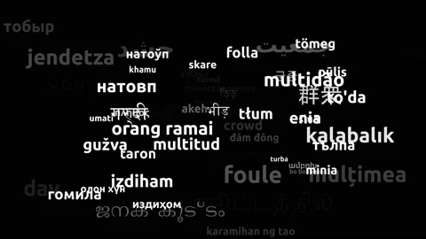 Crowd Translated in 62 Worldwide Languages Endless Looping 3d Zooming Wordclo Stock Footage 145198067