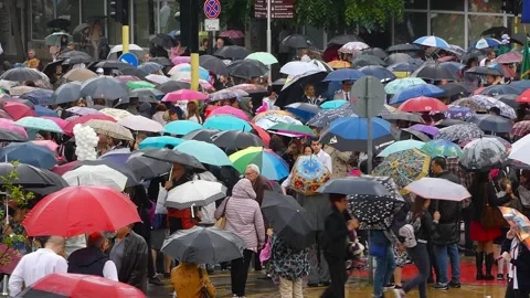 Crowd with Umbrellas Celebrating May 24 in Varna Under Heavy Rain Stock Footage 321856479
