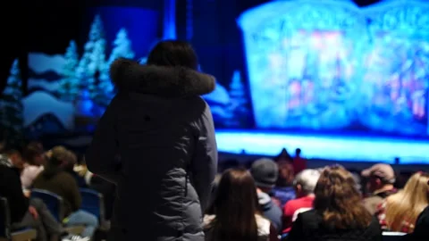 Crowd waiting for Christmas performance at Busch gardens view of blurry stage Stock Footage 234597575