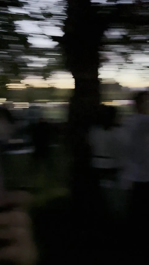 Crowd waiting for fireworks Stock Footage 289802355