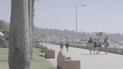 Crowd Walking by Beach Palm Trees 스톡 동영상 83634598