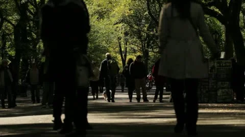 Crowd Walking In Central Park in Autumn Stock Footage 12655593