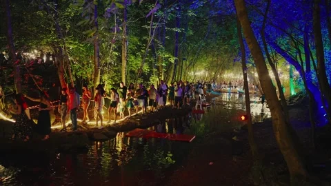 Crowd Walking by Illuminated River at Night Stock Footage 345901092