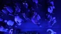 Crowd walking at landing stage maritime event Hamburg Cruise Days and Blue Night 4k or 4k+ Resolution