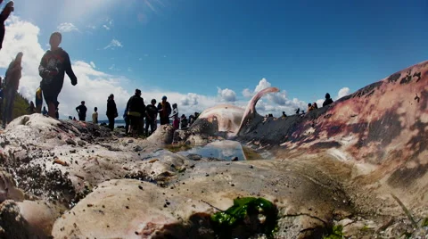Crowd walking by stranded whale carcass Stock Footage 62817633