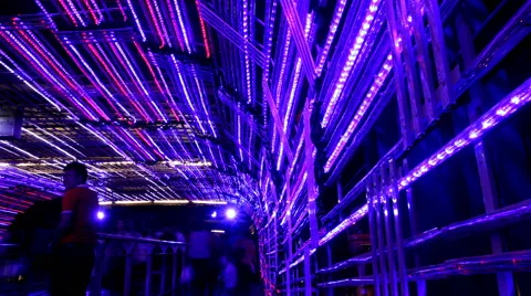 Crowd walking through fancy lights Video stock 59781173