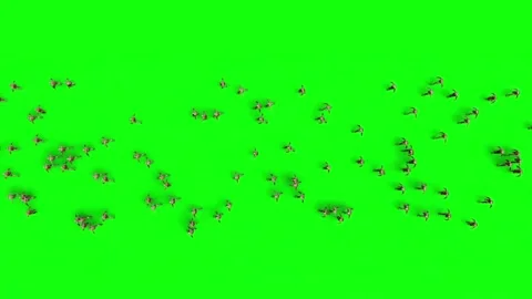 A crowd of walking zombies. green screen. Apocalyptic concept Video stock 304689869