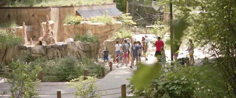 Crowd Walking in a Zoo Video stock 202342586