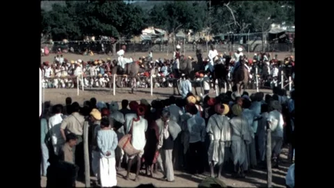 Crowd Watching Camel Competition Stock Footage 276293300
