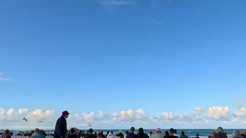 Crowd Watching Distant Airshow Over Surfers Paradise Beach Vídeo Stock 344947257