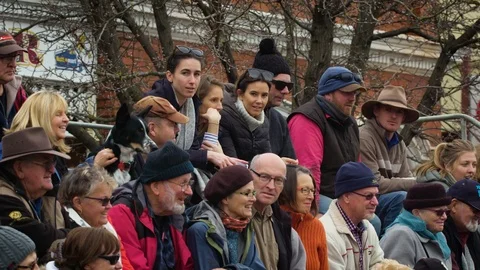 Crowd watching dog show Kelpie Dash. Stock Footage 87833656