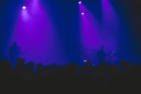 A crowd watching a rock concert. Stock Photos