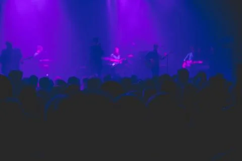 A crowd watching a rock concert. Stock Photos