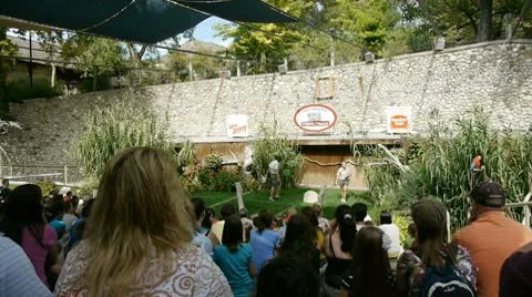 Crowd watching a show Vidéo 8840990