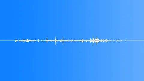 Crowd Wing Flap SFX – Quick Flurry Flight Burst 2 ~ Clip #310278197