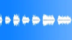 CROWD,APPLAUSESound Effect