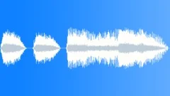 CROWD,APPLAUSESound Effect