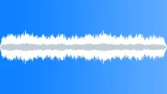 CROWD,BARSound Effect