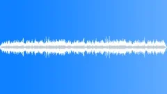 CROWD,BAR Sound Effect