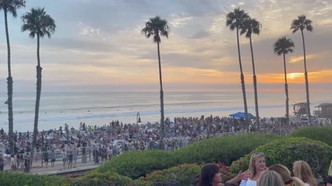 Crowded beach  2 Stock Footage 236266259