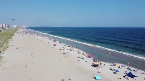 Crowded Beach Drone Shot 動画素材 231564043