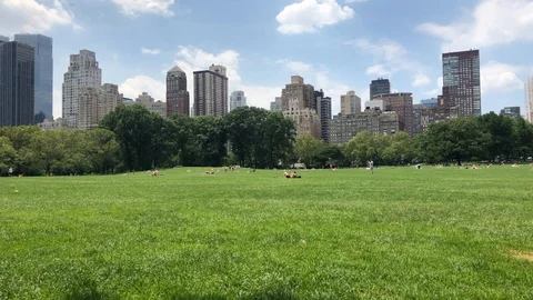 Crowded Central Park Sheep Meadow MANHATTAN public park. People sit, picnic, Stock Footage 121824656