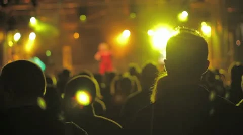 Crowded Concert Stock Footage 21770530