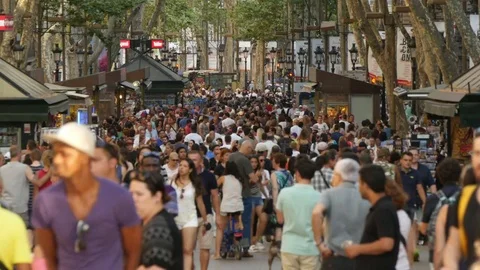 Crowded Les Rambles Boulevard in Downtown Barcelona Stock Footage 80556304