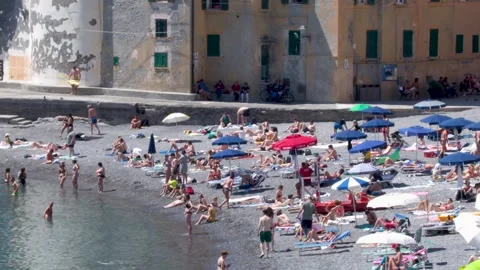 Crowded Pebble Beach with Sunbathers and Umbrellas in Camogli Italy Stock-Footage 336524573