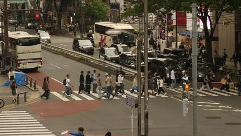 Crowded pedestrian crossing at downtown intersection. Top shot. Tokyo, Japan. Stock Footage 242032508