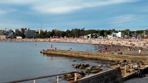Crowded Playa Ramirez beach at sunset, Montevideo, Uruguay Stock Footage 341771843