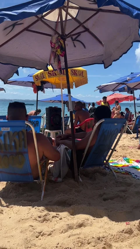 Crowded Porto da Barra Beach with Umbrellas and Tourists Salvador Brazil Vídeo Stock 343581224