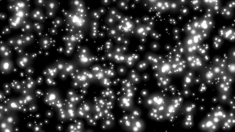 Crowded Quantum Particle Swarm Abstract Motion Background Loop 3 Video stock 77971770