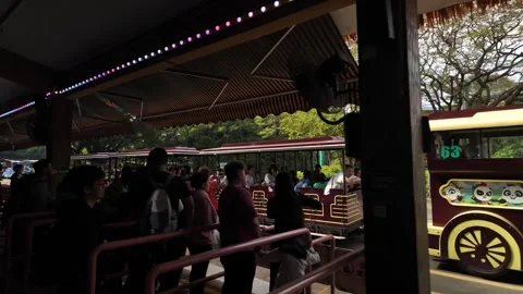 Crowded Queue at Guangzhou Safari Park for Scenic Train Adventure Stock Footage 324892833
