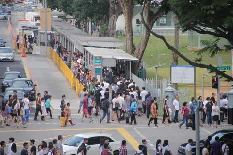 Crowded Road crossing Stock Photos