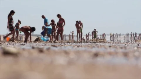 Crowded sandy beach in the middle of summer Stock Footage 72362023