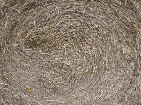 Crowded straw stack pattern Stock Photos