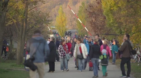 Crowded street between trees 4K Stock Footage 56772914